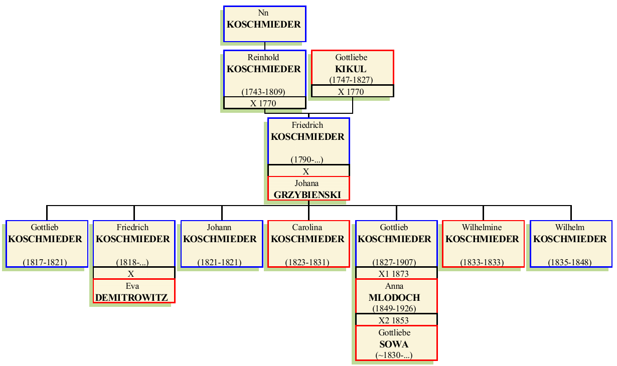 Stammbaum von Johann Friedrich